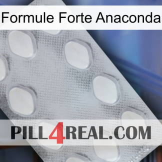 Anaconda Strong Formula 16